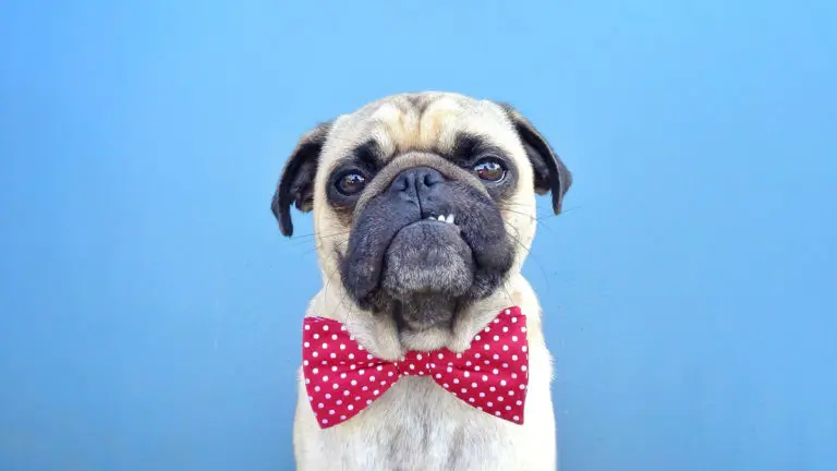 اجازه ندهید که عدم اطمینان شما را فلج کند